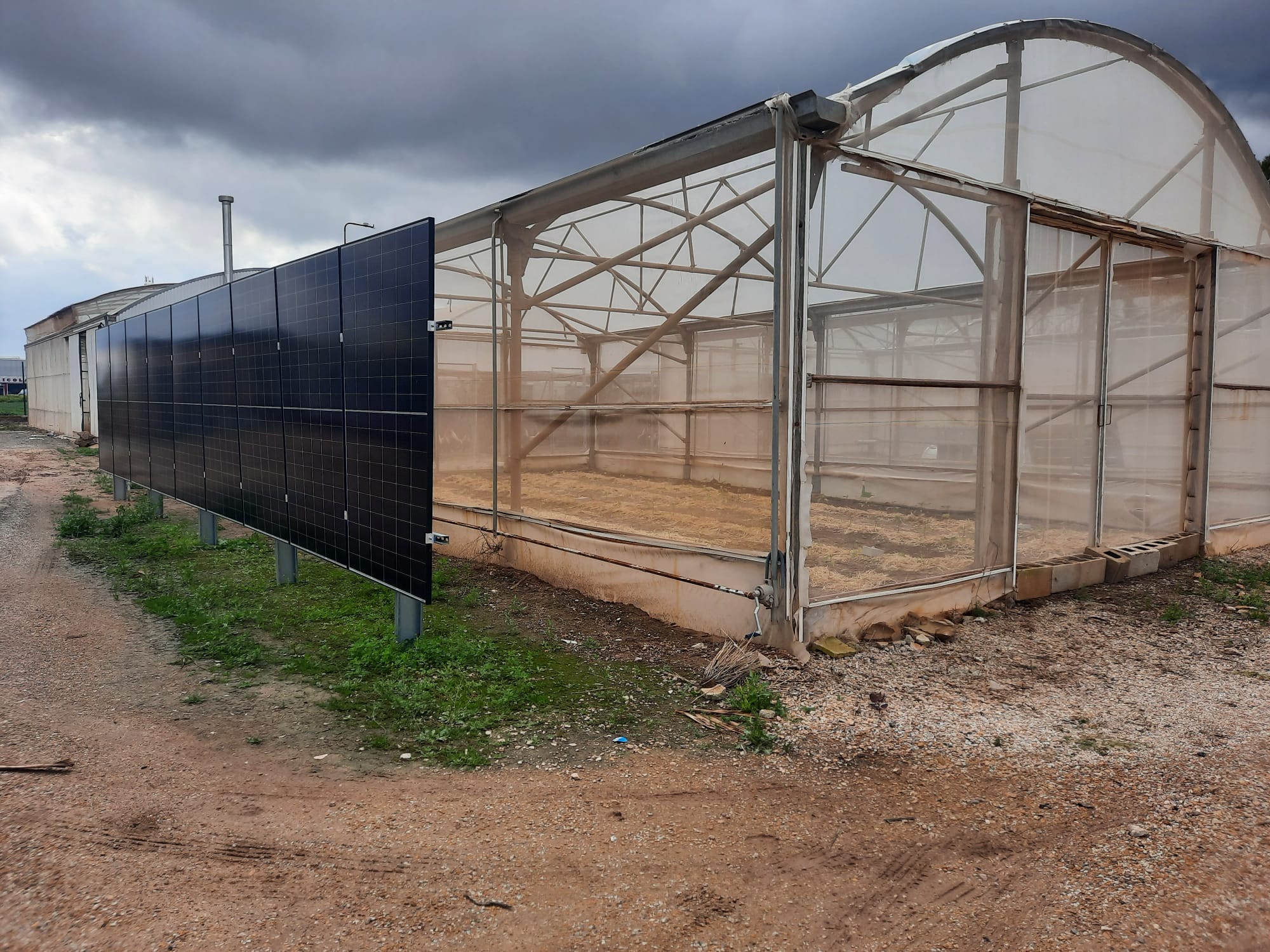Gewächshaus mit Agri-PV-Integration und Sonnenkollektoren auf dem Bauernhof