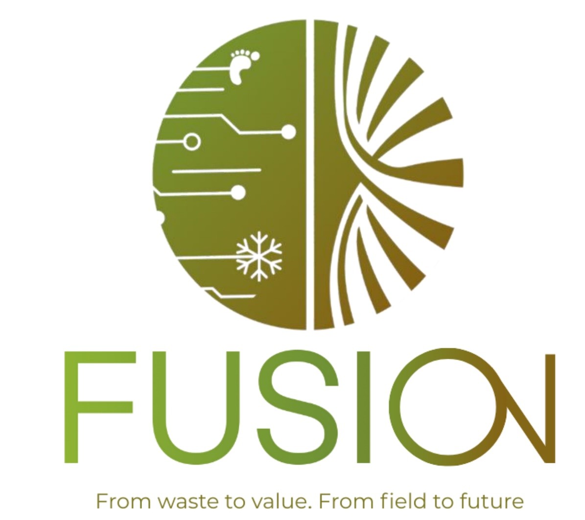 Logo Fusion