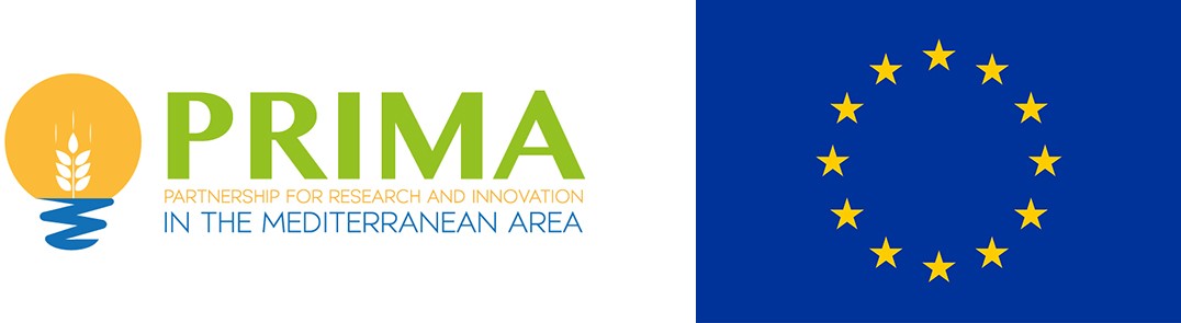Logo PRIMA